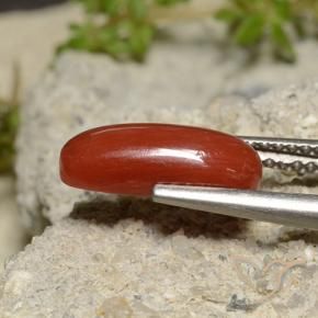 Corail Rouge-orange naturelle ovale, 2.14 ct, Opaque