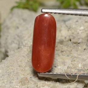 Corail Rouge-orange naturelle ovale, 2.14 ct, Opaque
