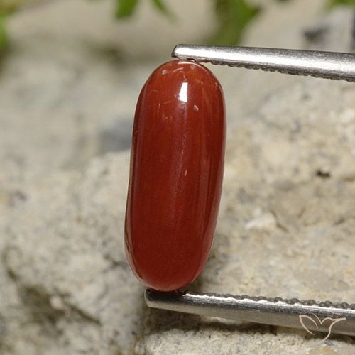 1.89ct Naturel Rouge à lèvres Corail, ovale, Opaque