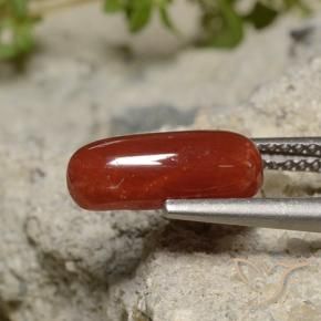Corail Rouge à lèvres naturelle ovale, 1.89 ct, Opaque