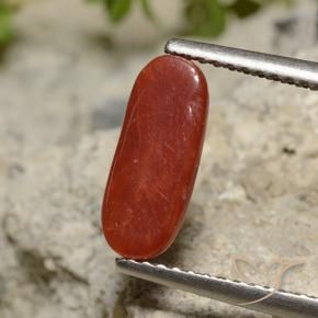 Corail Rouge à lèvres naturelle ovale, 1.89 ct, Opaque