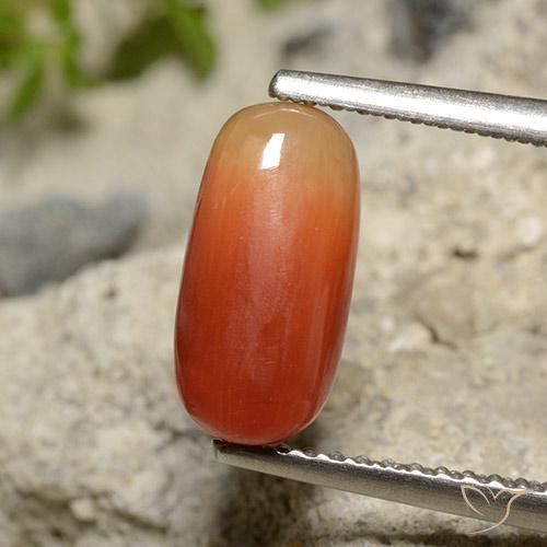 2.12ct Naturel Orange moyen corail, ovale, Opaque