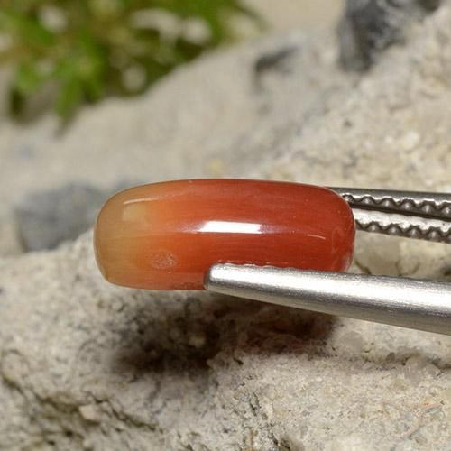 Corail Orange moyen naturelle ovale, 2.12 ct, Opaque