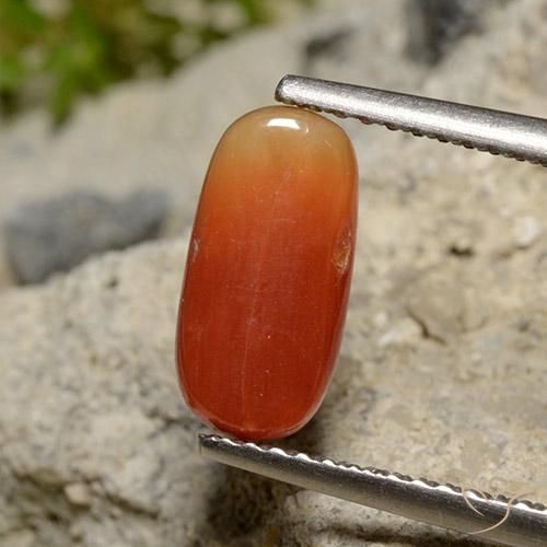 Corail Orange moyen naturelle ovale, 2.12 ct, Opaque