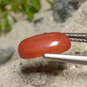 Corail Orange feu naturelle Coupe ovale, 1.73 ct, Opaque