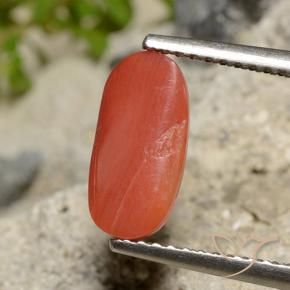 Corail Orange feu naturelle Coupe ovale, 1.73 ct, Opaque