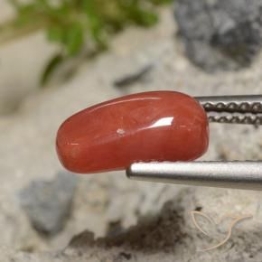 Corail Rouge-orange naturelle ovale, 2.04 ct, Opaque