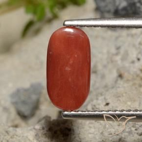 Corail Rouge-orange naturelle ovale, 2.04 ct, Opaque