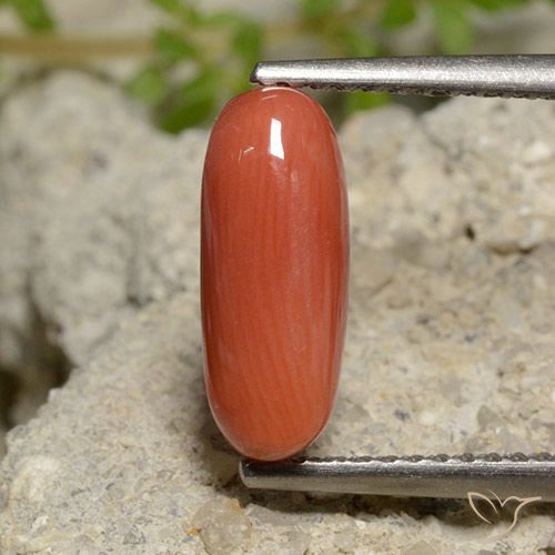 2.00ct Naturel Orange feu corail, ovale, Opaque