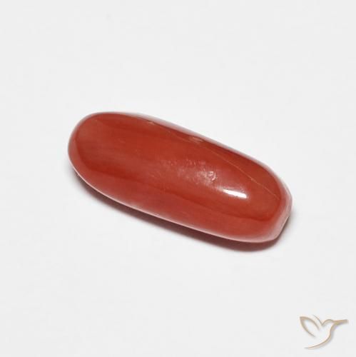 Corail Rouge moyen naturelle ovale, 2.01 ct, Opaque