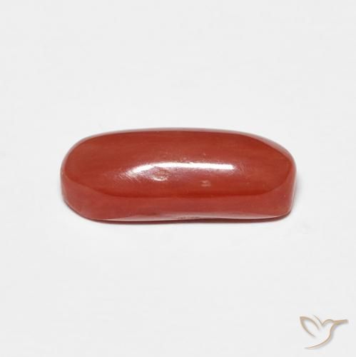 Corail Rouge moyen naturelle ovale, 2.01 ct, Opaque