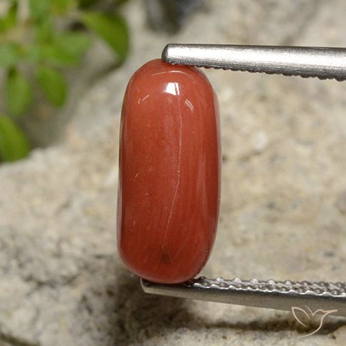 2.14ct Naturel Rouge-orange corail, ovale, Opaque