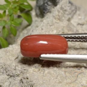 Corail Rouge-orange naturelle ovale, 2.14 ct, Opaque
