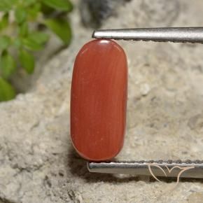 Corail Rouge-orange naturelle ovale, 2.14 ct, Opaque