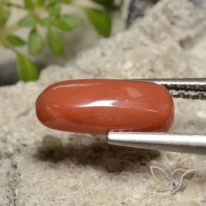 Corail Rouge-orange naturelle ovale, 2.39 ct, Opaque
