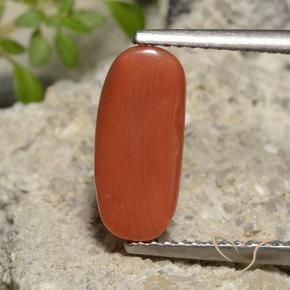 Corail Rouge-orange naturelle ovale, 2.39 ct, Opaque