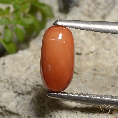 1.81ct Naturel Orange moyen corail, ovale, Opaque