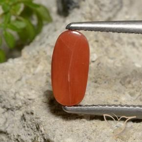 Corail Orange moyen naturelle ovale, 1.81 ct, Opaque