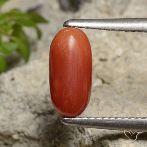 1.85ct Naturel Orange moyen corail, ovale, Opaque