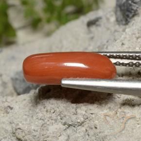 Corail Rouge moyen naturelle ovale, 1.91 ct, Opaque