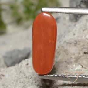 Corail Rouge moyen naturelle ovale, 1.91 ct, Opaque