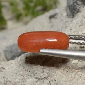 Corail Rouge-orange naturelle ovale, 2.01 ct, Opaque