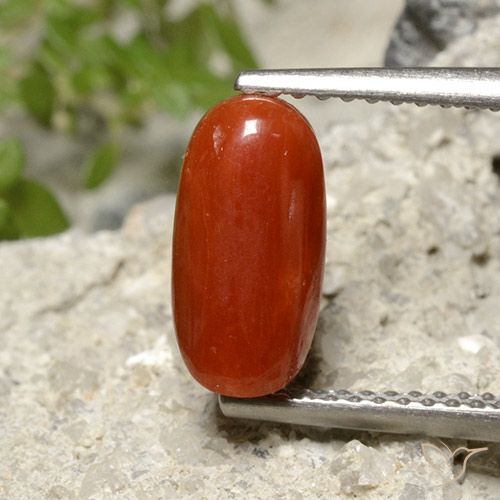 1.86ct Naturel Rouge feu Corail, ovale, Opaque