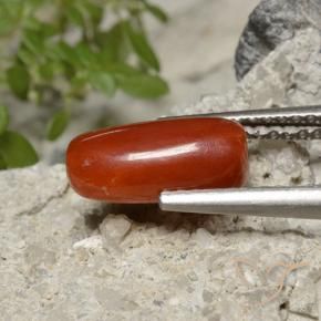 Corail Rouge feu naturelle ovale, 1.86 ct, Opaque