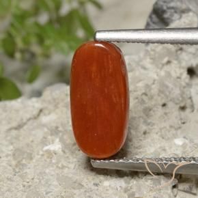 Corail Rouge feu naturelle ovale, 1.86 ct, Opaque