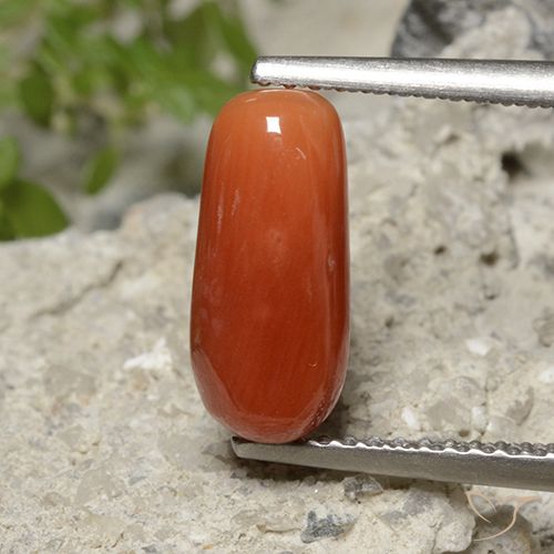 2.23ct Naturel Orange feu corail, ovale, Opaque