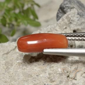 Corail Orange feu naturelle ovale, 2.23 ct, Opaque