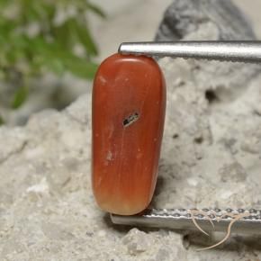 Corail Orange feu naturelle ovale, 2.23 ct, Opaque