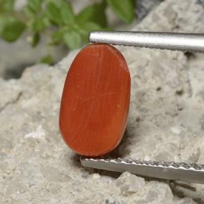 Corail Orange moyen naturelle Coupe ovale, 1.70 ct, Opaque