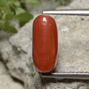 Corail rouge naturelle coupe ovale, 2,55 ct, opaque
