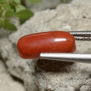 Corail rouge naturelle coupe ovale, 2,55 ct, opaque