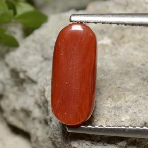 Corail rouge naturelle coupe ovale, 2,55 ct, opaque