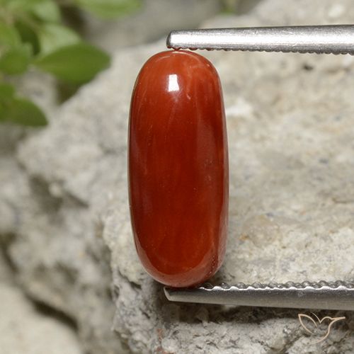 Corail Rouge feu naturelle Coupe ovale, 2.07 ct, Opaque