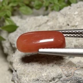 Corail Orange feu naturelle ovale, 2.26 ct, Opaque