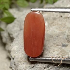 Corail Orange feu naturelle ovale, 2.26 ct, Opaque