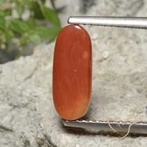 Corail Orange moyen naturelle ovale, 2.15 ct, Opaque