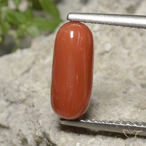 1.90ct Naturel Orange feu corail, ovale, Opaque