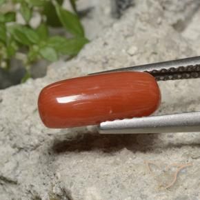 Corail Orange feu naturelle ovale, 1.90 ct, Opaque