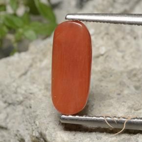 Corail Orange feu naturelle ovale, 1.90 ct, Opaque