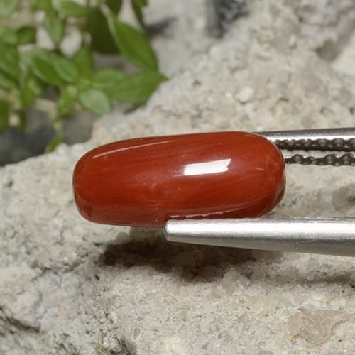 Corail Ton rouge feu naturelle ovale, 1.95 ct, Opaque