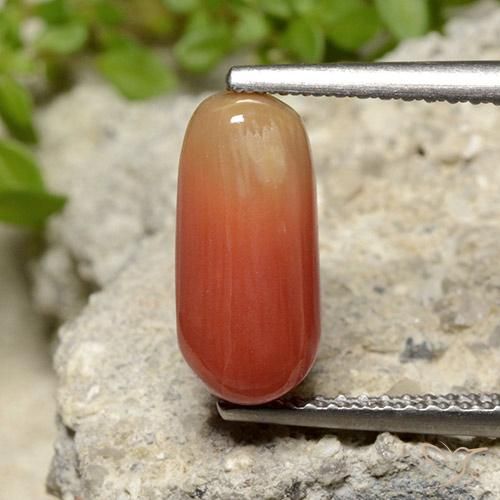 2.78ct Naturel Orange feu corail, ovale, Opaque