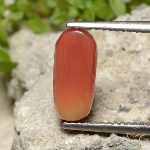 Corail Orange feu naturelle ovale, 2.78 ct, Opaque