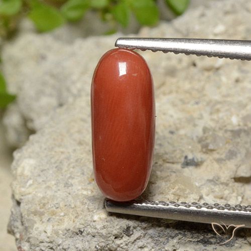 2.10ct Naturel Orange moyen corail, ovale, Opaque