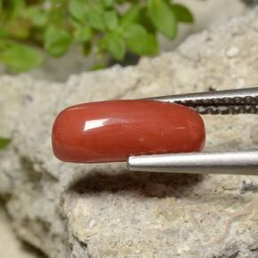 Corail Orange moyen naturelle ovale, 2.10 ct, Opaque