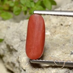 Corail Orange moyen naturelle ovale, 2.10 ct, Opaque