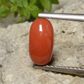 Corail orange naturelle coupe ovale, 1,40 ct, opaque